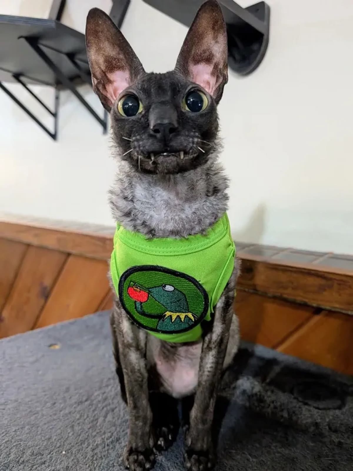 Pixel in a lime green vest with a Kermit sipping tea patch