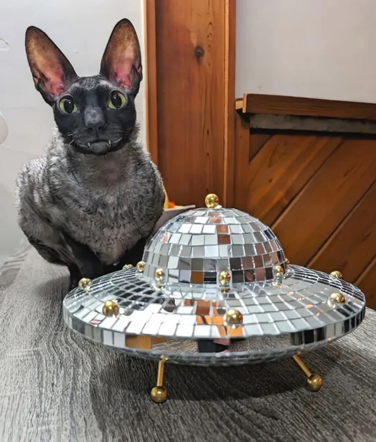 Pixel sitting beside a mirrored disco-ball UFO